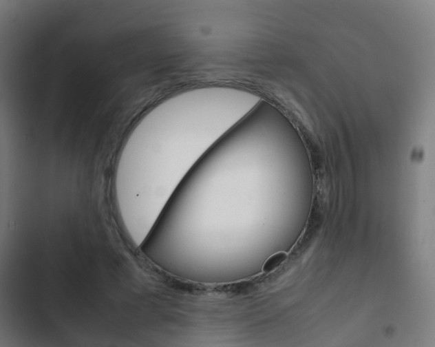 X0000103410593200809120950