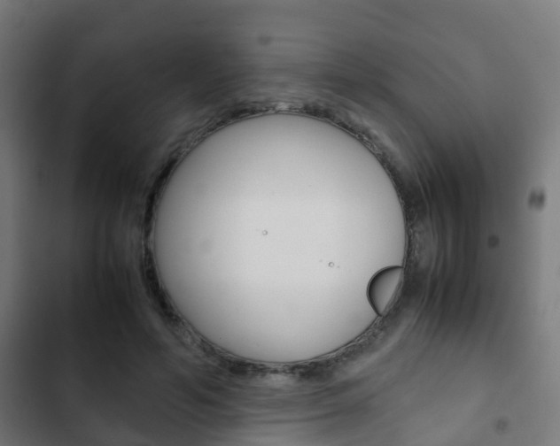 X0000103410594200809120950