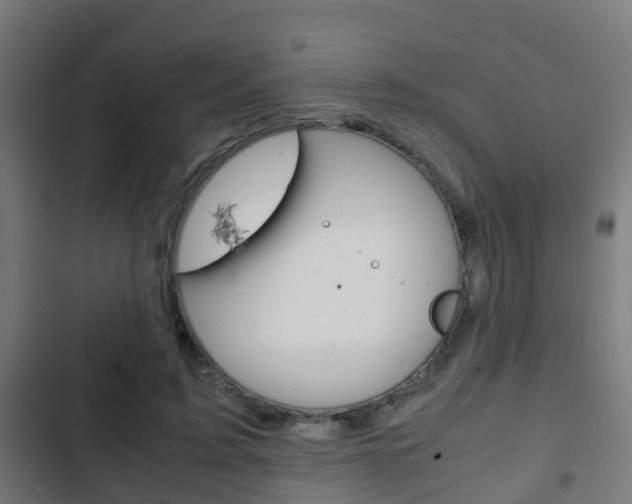 X0000103410595200809120950