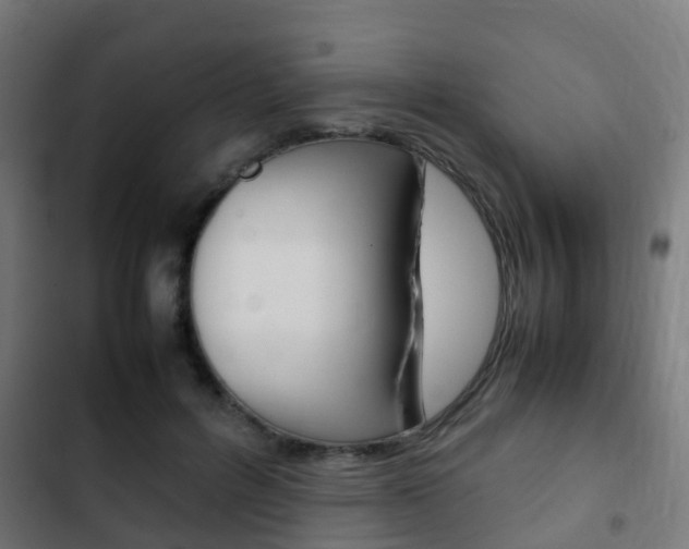 X0000103410600200809120950