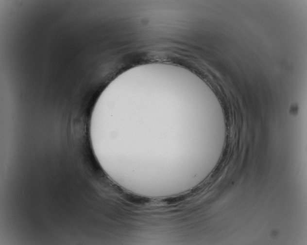 X0000103410603200809120950