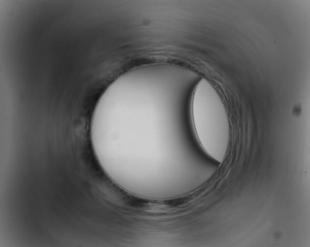 X0000103410605200809120950