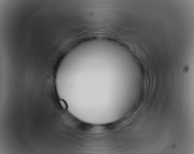 X0000103410609200809120950
