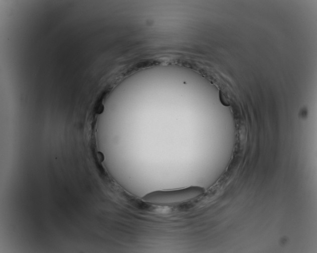 X0000103410611200809120950