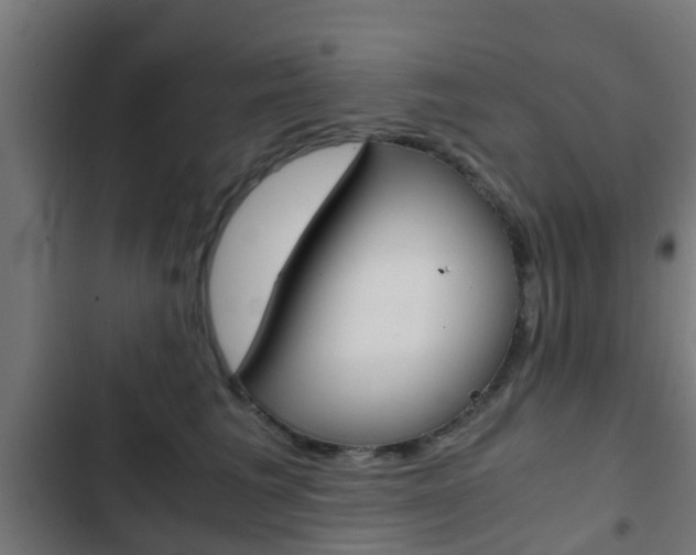 X0000103410613200809120950
