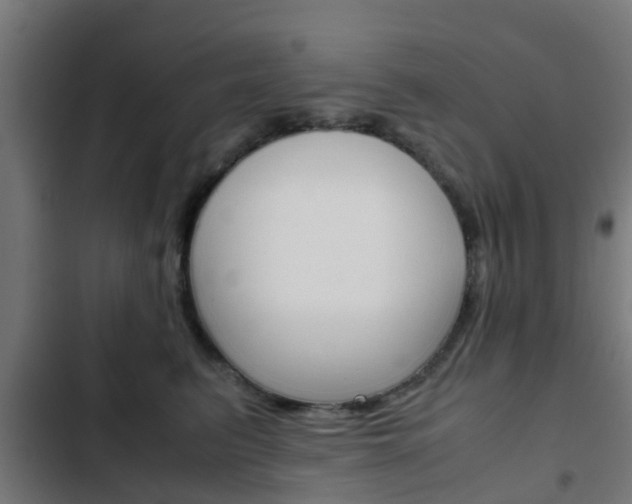X0000103410615200809120950