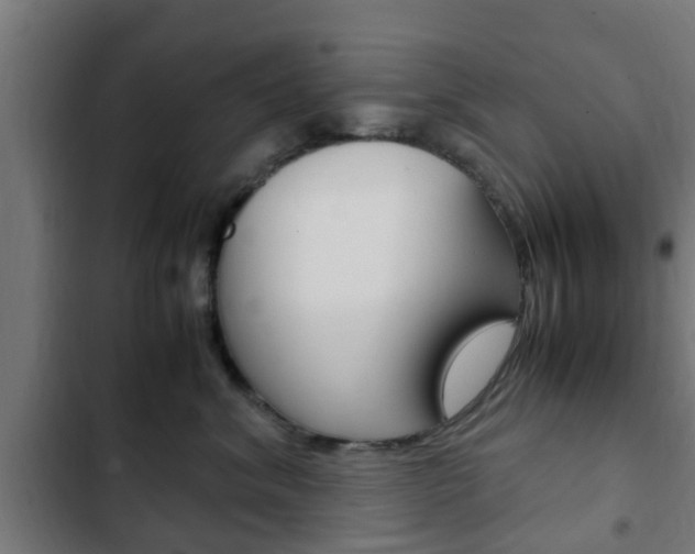 X0000103410620200809120950