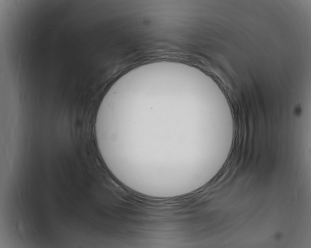 X0000103410621200809120950
