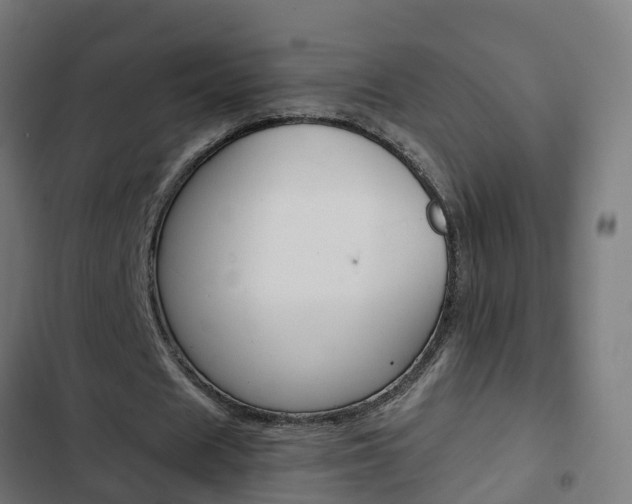 X0000103410625200809120949