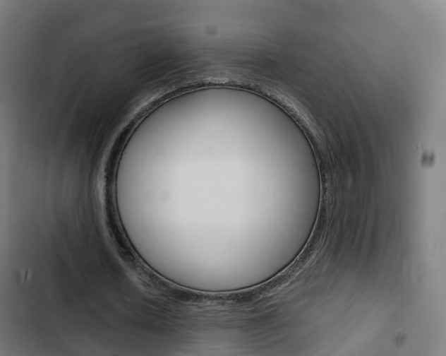 X0000103410626200809120949