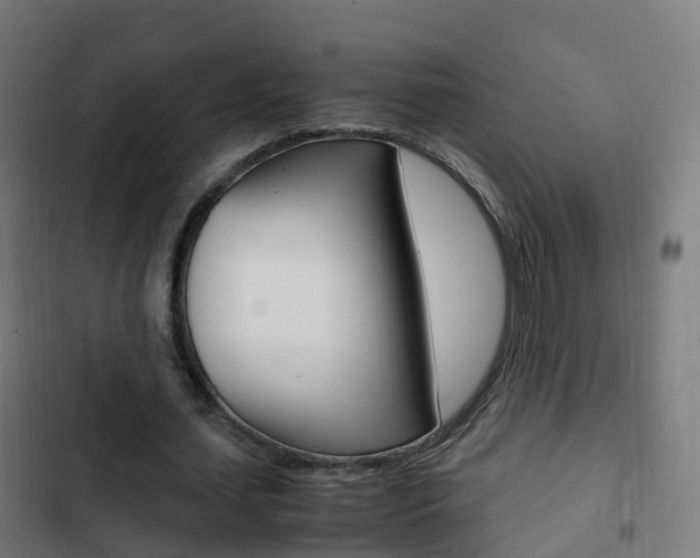 X0000103410627200809120949