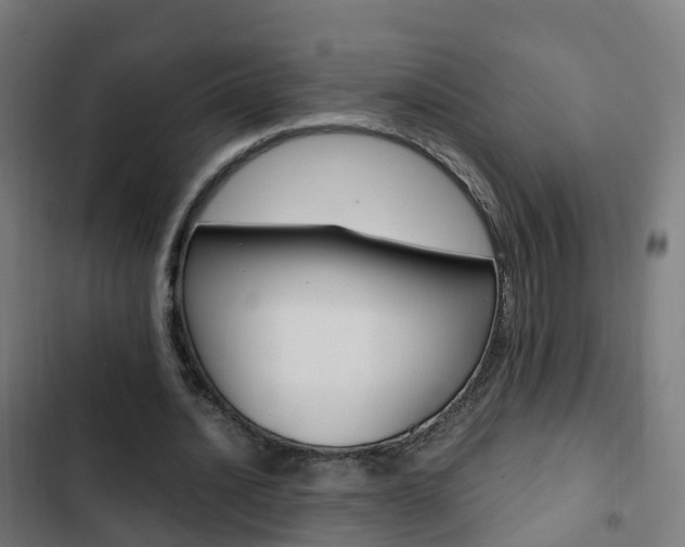 X0000103410628200809120949