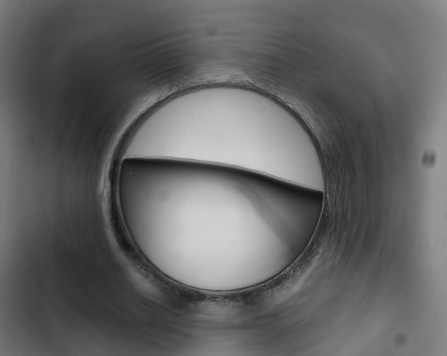 X0000103410630200809120949