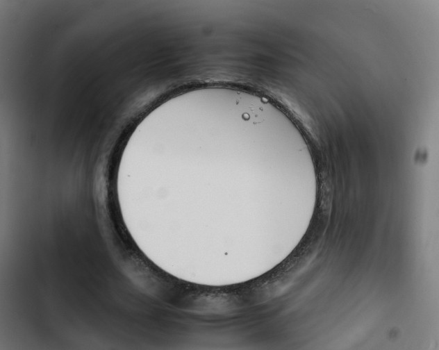 X0000103410631200809120949