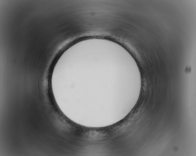 X0000103410632200809120949