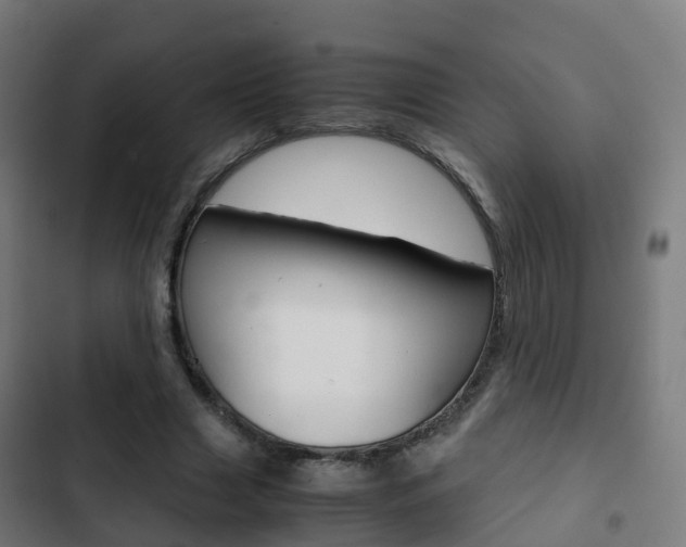 X0000103410633200809120949