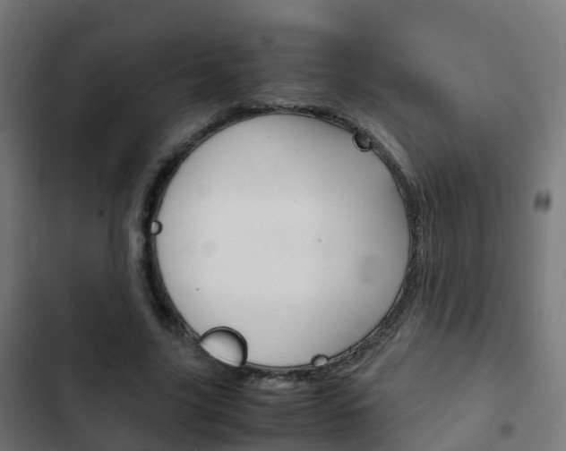 X0000103410635200809120949