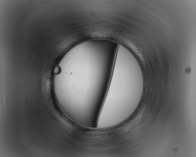 X0000103410637200809120950