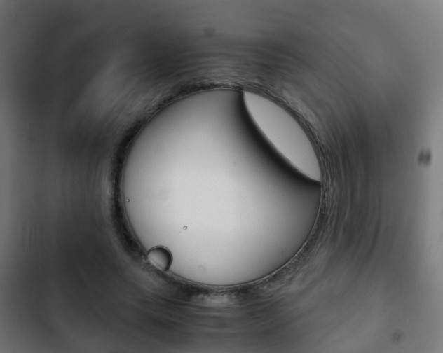X0000103410639200809120950