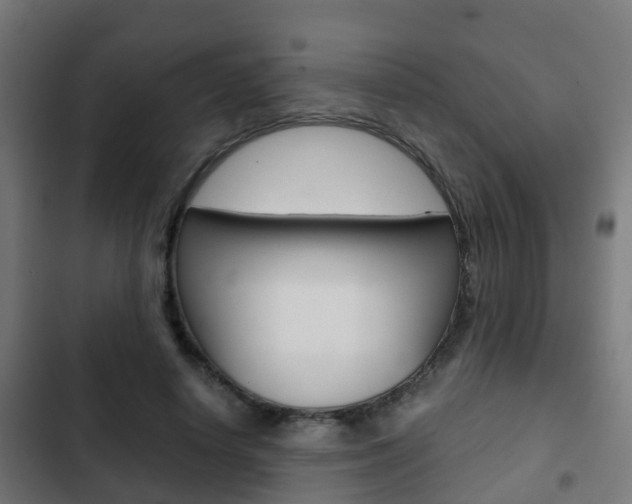 X0000103410642200809120950