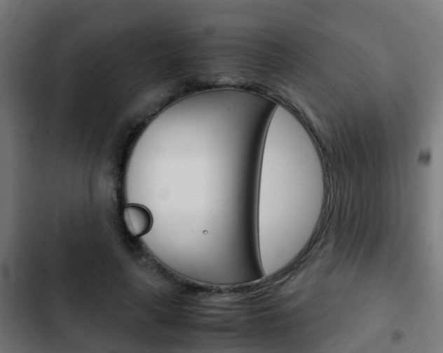 X0000103410643200809120950