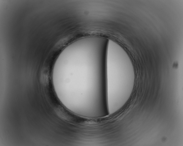 X0000103410644200809120950