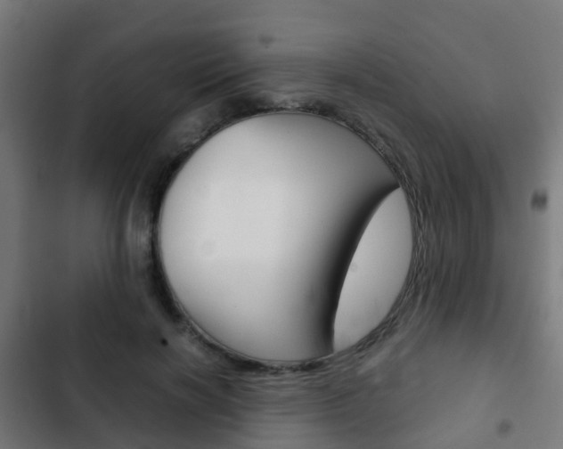X0000103410646200809120950