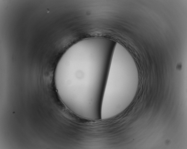 X0000103410652200809120950
