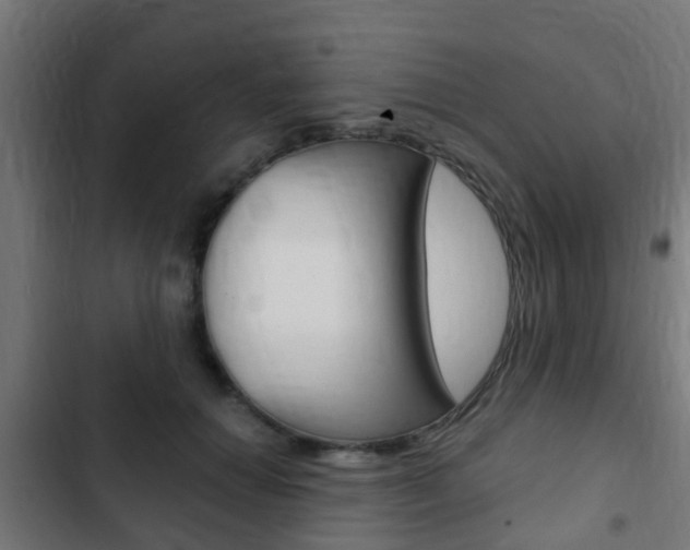 X0000103410654200809120950