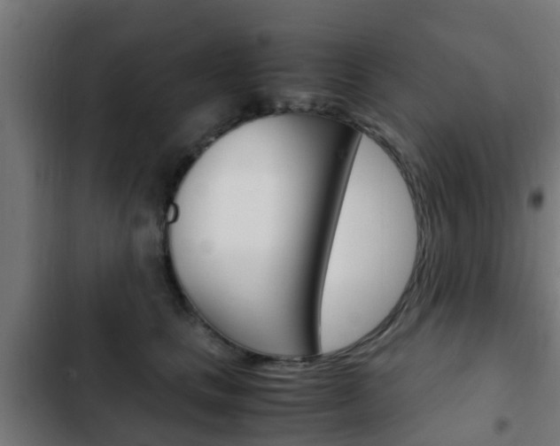 X0000103410661200809120950
