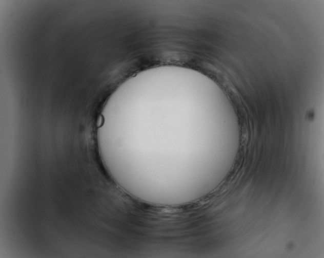 X0000103410663200809120950