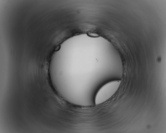 X0000103410664200809120950