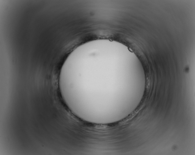 X0000103410666200809120950