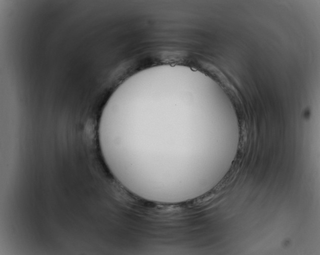 X0000103410667200809120950