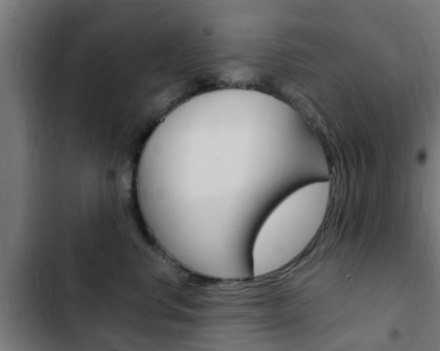 X0000103410668200809120950