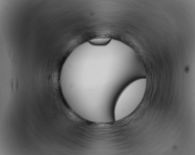 X0000103410670200809120950