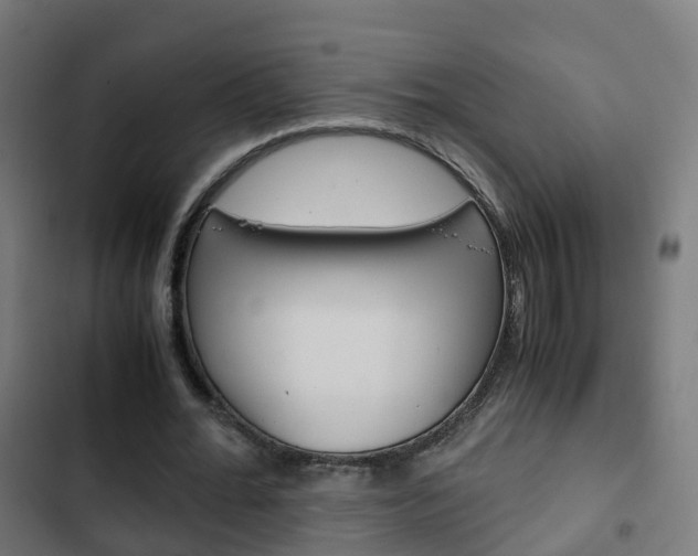 X0000103410676200809120949
