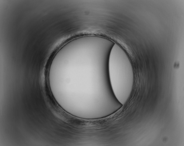 X0000103410678200809120949