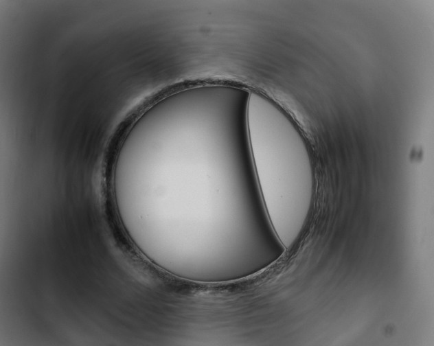 X0000103410680200809120949