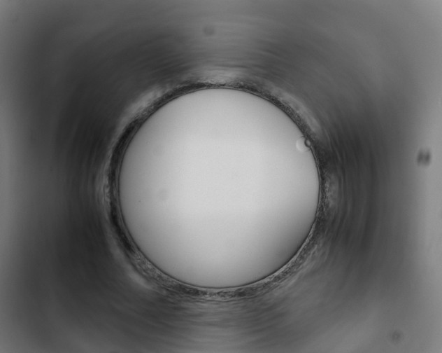 X0000103410682200809120949
