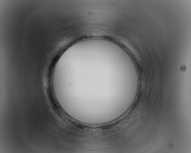 X0000103410683200809120949