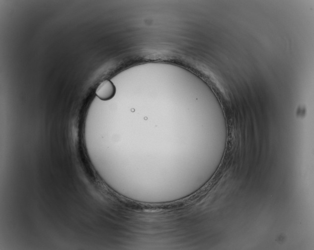X0000103410686200809120949