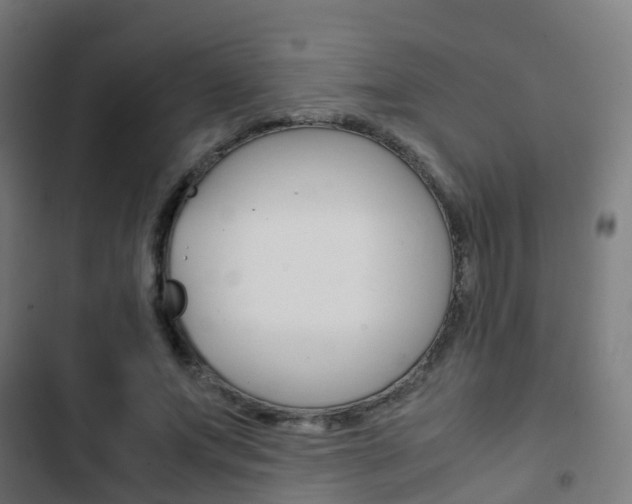 X0000103410687200809120949