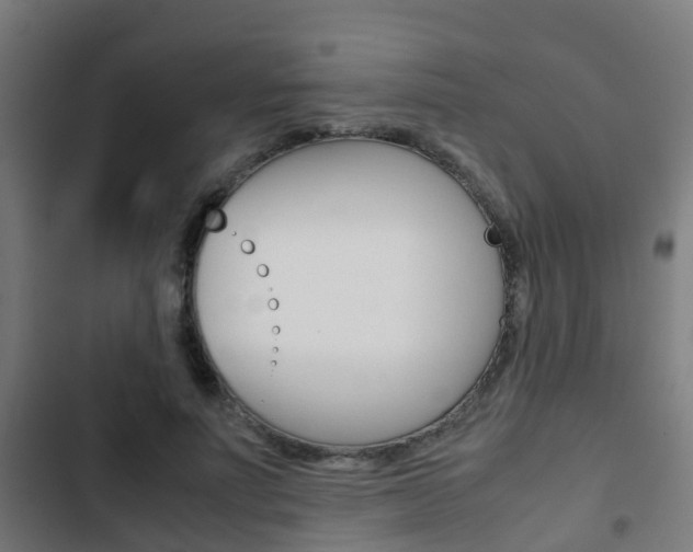 X0000103410691200809120949