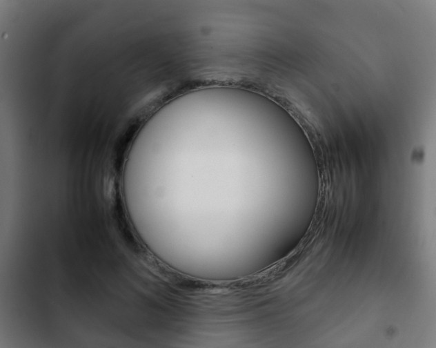 X0000103410692200809120949