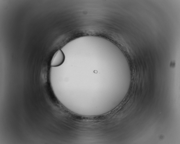 X0000103410694200809120949
