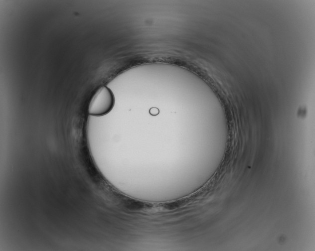 X0000103410695200809120949