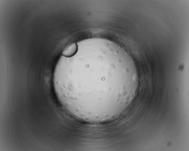 X0000103410698200809120949