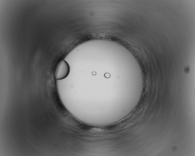 X0000103410699200809120949
