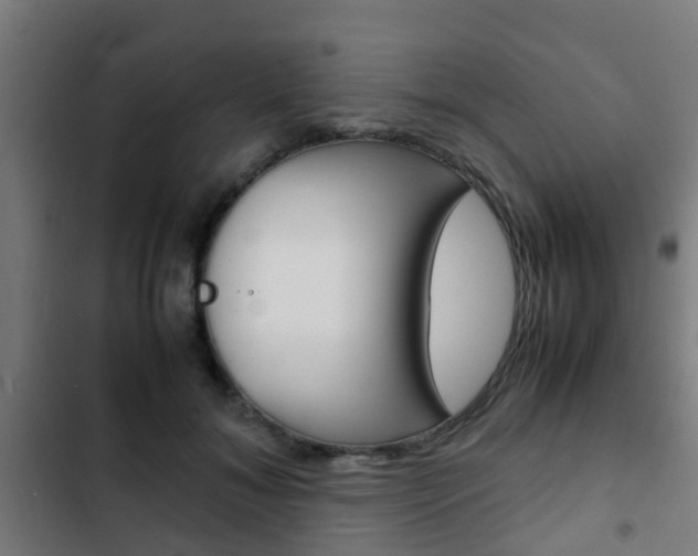 X0000103410700200809120949